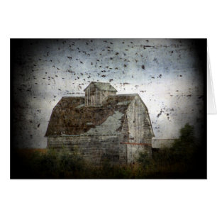 Barn and Birds