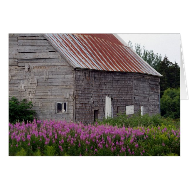 Barn and Flowers (Front Horizontal)
