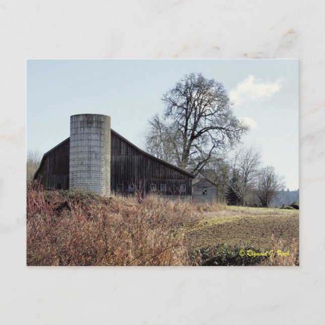 Barn and Silo - Postcard (Front)