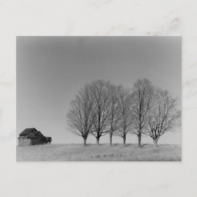 Barn and trees postcard (Front)