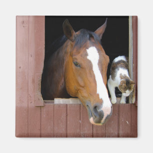 Barn Buddies Magnet