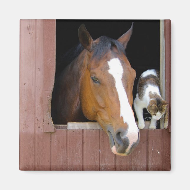 Barn Buddies Magnet (Front)