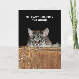 Barn Cat in hay loft birthday Card