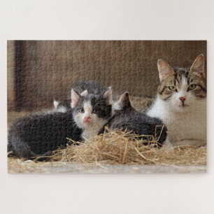 barn cats puzzle