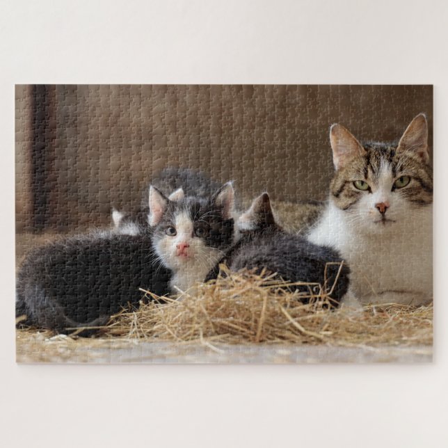 barn cats puzzle  (Horizontal)