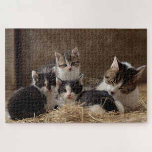 barn cats puzzle