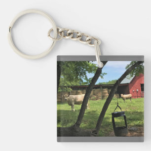 Barn & Cows, Rural North Carolina Canvas Print Mag Key Ring