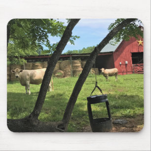 Barn & Cows, Rural North Carolina Canvas Print Mouse Pad