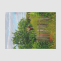 Barn Decorated with Red Flowers and a Picket Fence