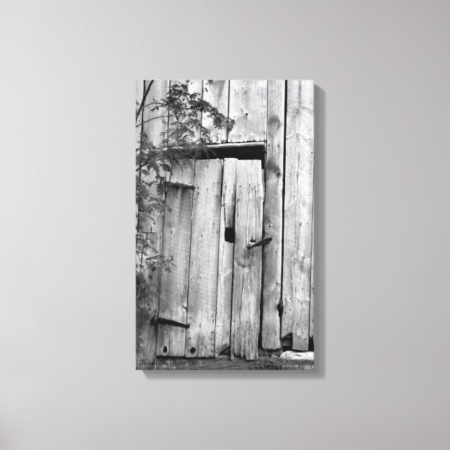 Barn Door with Tree Canvas Print (Front)