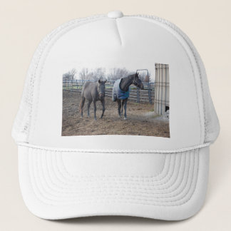 Barn Farm Horse Buddies Trucker Hat