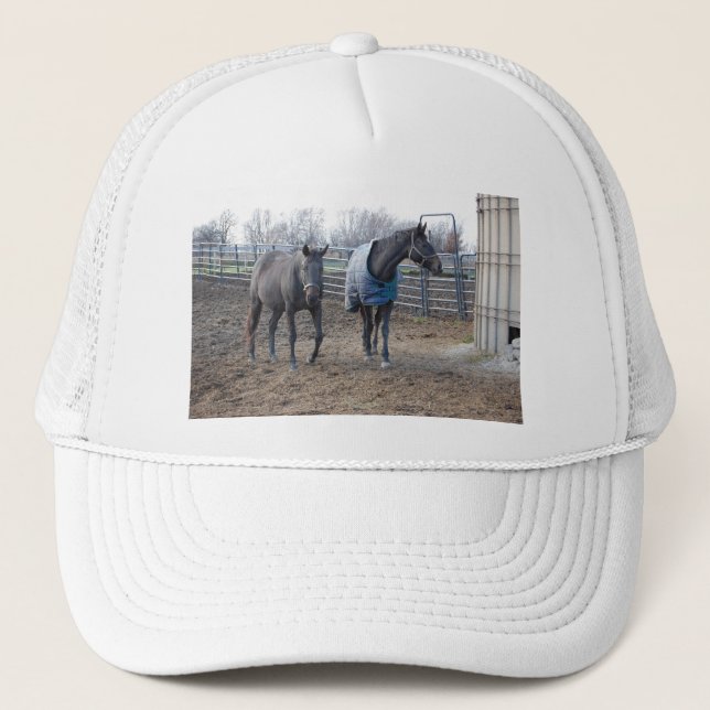 Barn Farm Horse Buddies Trucker Hat (Front)