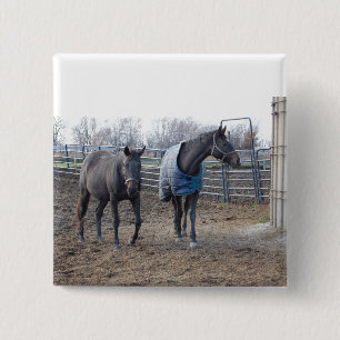 Barn Farm Horses 15 Cm Square Badge