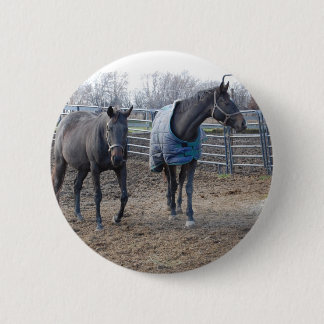 Barn Farm Horses 6 Cm Round Badge