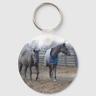 Barn Farm Horses Key Ring