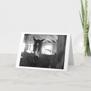 Barn Horse Card