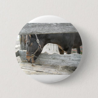 Barn Horse Humour 6 Cm Round Badge