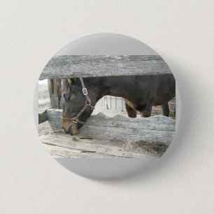 Barn Horse Humour 6 Cm Round Badge