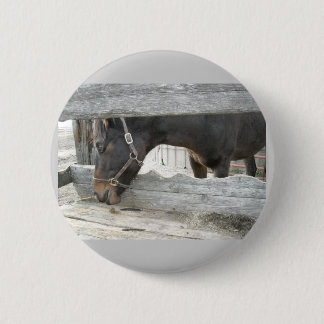 Barn Horse Humour 6 Cm Round Badge