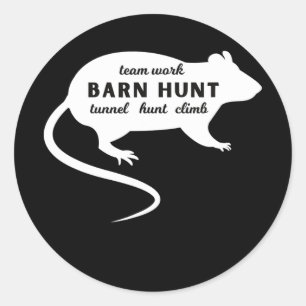 Barn Hunt Rat Hunting Teamwork  Classic Round Sticker