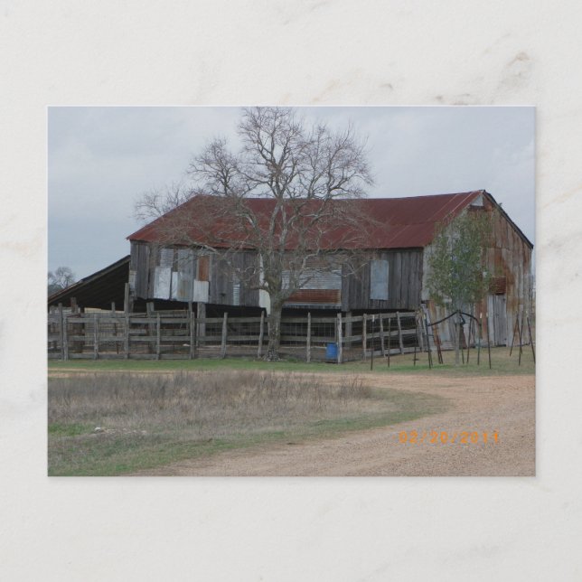 Barn in Central Texas Postcard (Front)