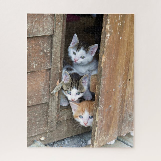 Barn Kittens Jigsaw Puzzle (Vertical)