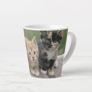 Barn Kittens on a Horse Blanket Latte Mug