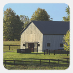 Barn on thoroughbred horse farm at sunrise, square sticker