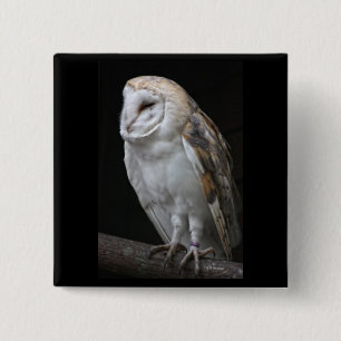 Barn Owl 15 Cm Square Badge