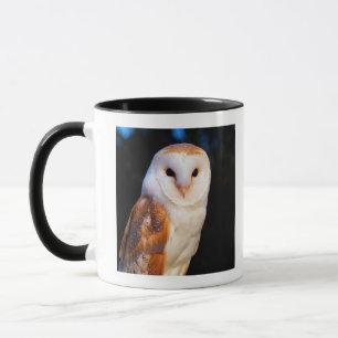 Barn Owl 2 Mug