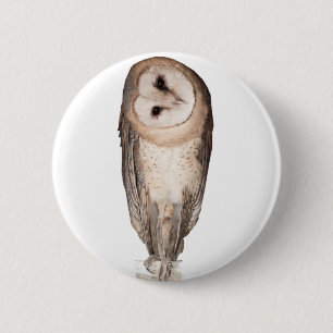 Barn owl 6 cm round badge