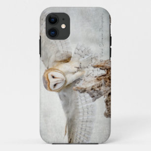 Barn Owl Angel iPhone Case