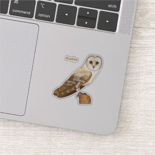 Barn owl bird cartoon illustration