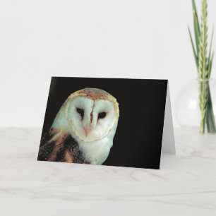 Barn Owl Blank Inside All Occassions Card