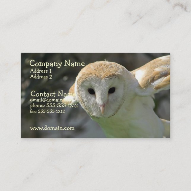 Barn Owl Business Card (Front)