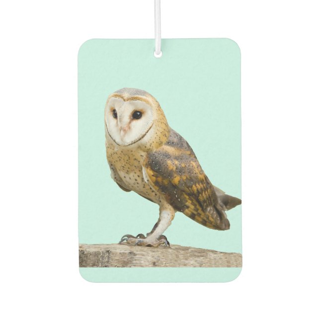 Barn Owl Car Air Freshener (Front)