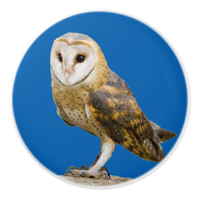 Barn Owl Ceramic Knob (Front)