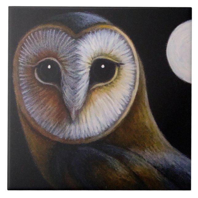 BARN OWL CLOSE UP & FULL MOON TILE (Front)