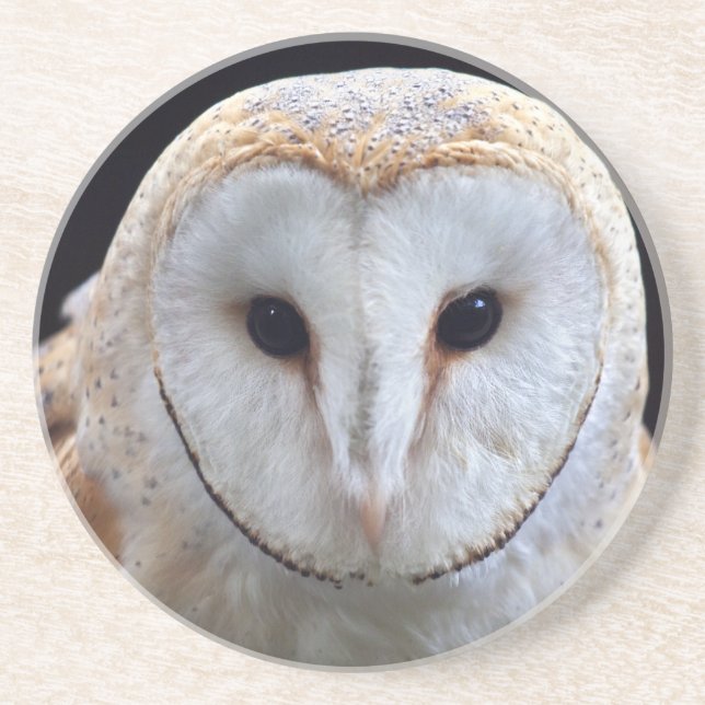 Barn Owl Coaster (Front)