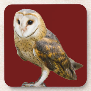 Barn Owl Coaster