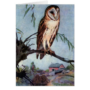 Barn Owl, Farmhouse and Barn