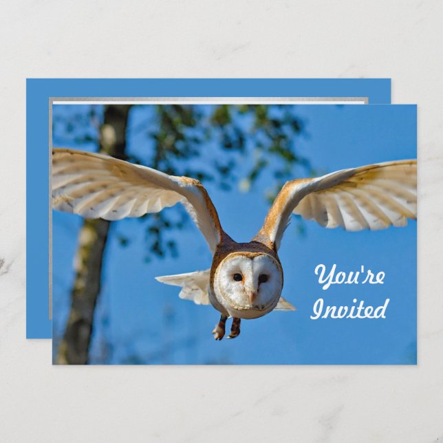 Barn Owl Flight Photo Birthday Invitation (Front/Back)