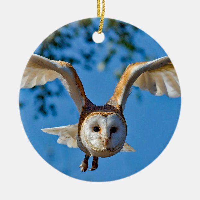 Barn Owl Flight Photo Ceramic Tree Decoration (Front)