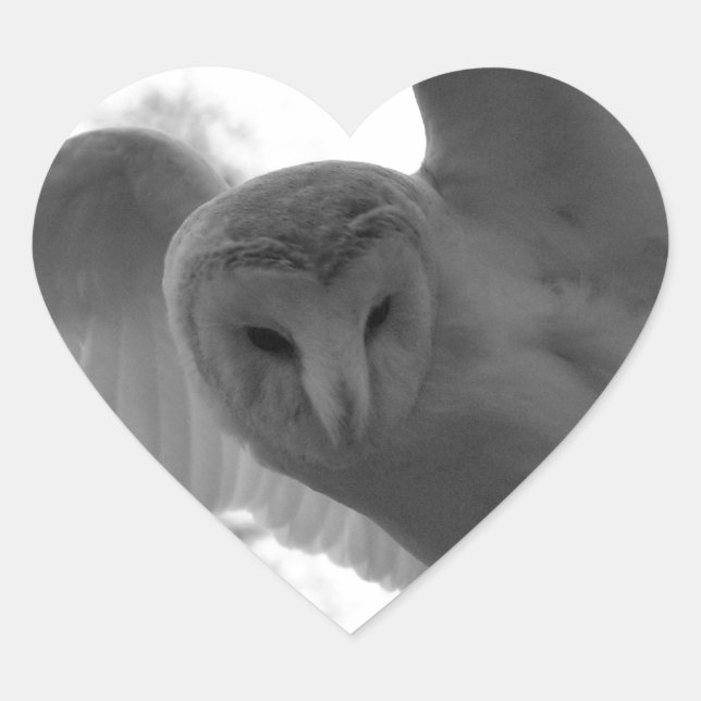 Barn Owl Heart Sticker (Front)