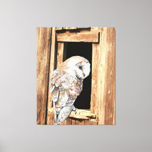 Barn owl in Barn Window Animal Nature Art   Canvas Print