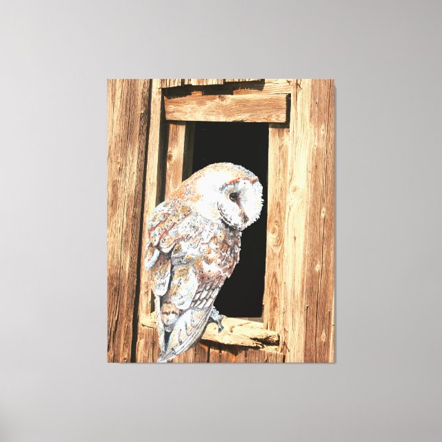 Barn owl in Barn Window Animal Nature Art   Canvas Print (Front)