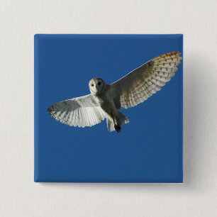 Barn Owl in Daytime Flight 15 Cm Square Badge