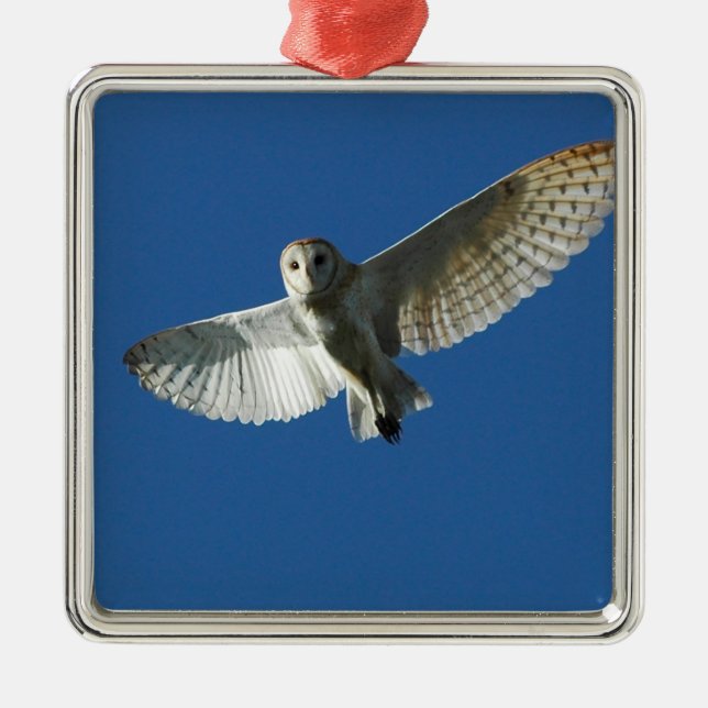 Barn Owl in Daytime Flight Metal Tree Decoration (Front)