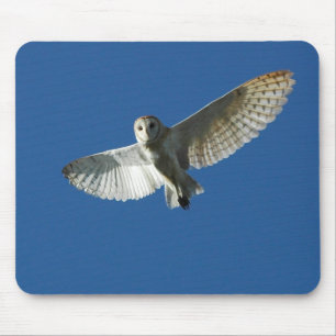 Barn Owl in Daytime Flight Mouse Pad