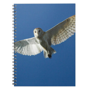 Barn Owl in Daytime Flight Spiral Notebook